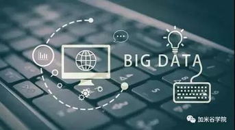大数据 驱动现代产业变革的核心引擎
