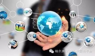 哈市政务服务迈入数字时代 互联网系统实现“一证通办”